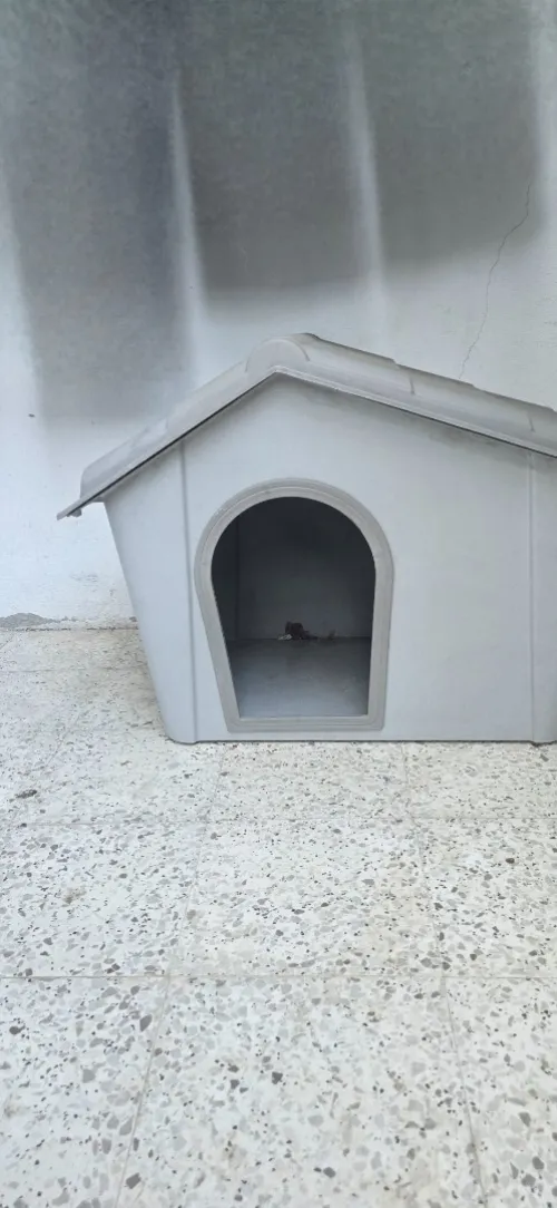 Niche pour chien 
