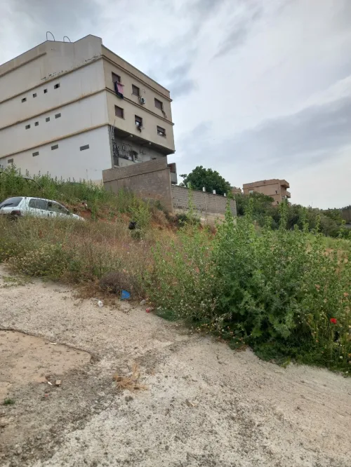 Vente Terrain Alger Saoula