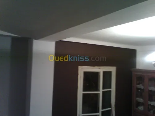 peinture et decoration et placo platre