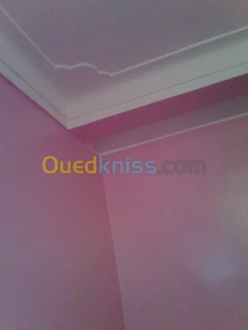 peinture et decoration et placo platre