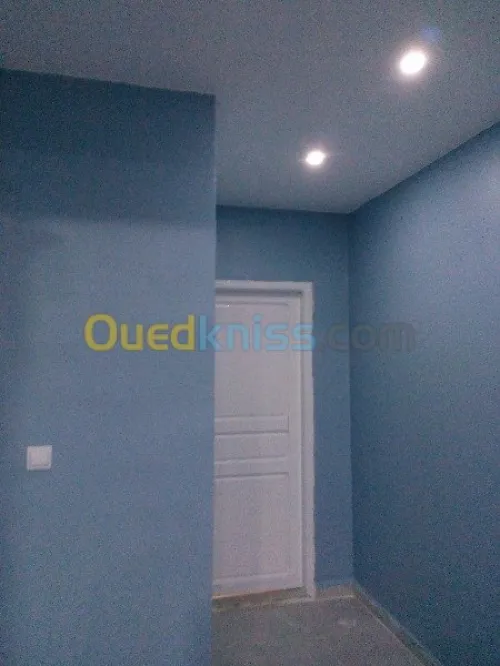 peinture et decoration et placo platre