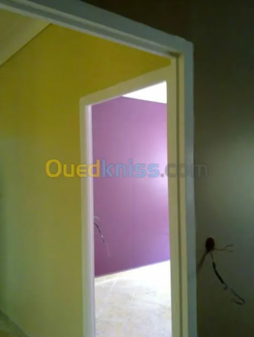 peinture intérieure et extérieur 