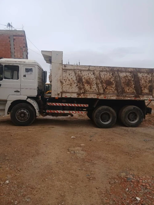 shackman camio 2013