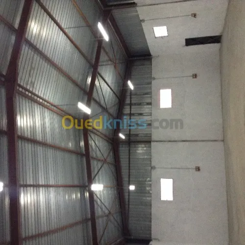 Location Hangar Alger Cheraga