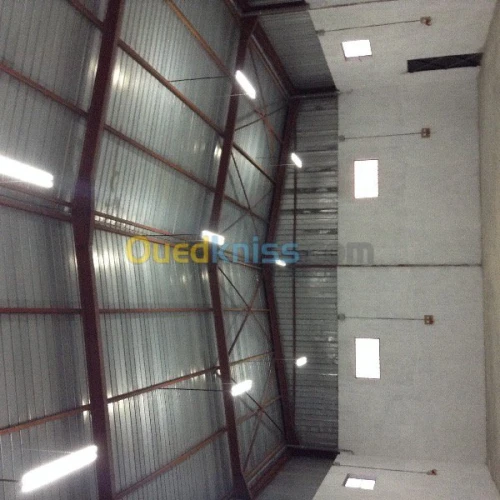 Location Hangar Alger Cheraga