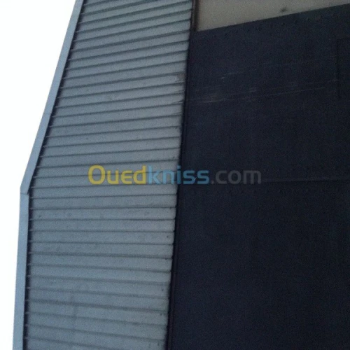 Location Hangar Alger Cheraga