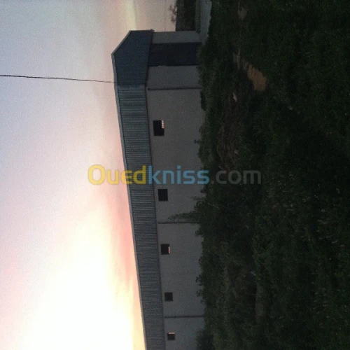 Location Hangar Alger Cheraga