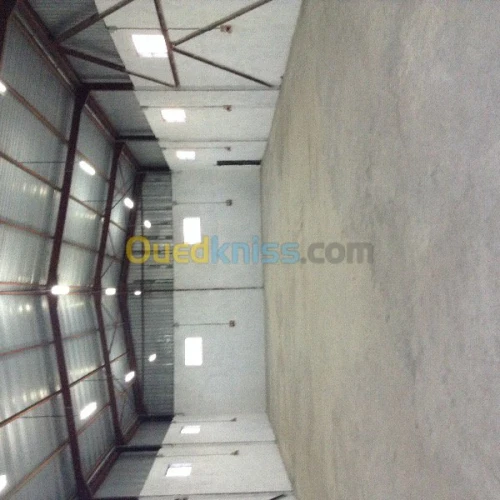 Location Hangar Alger Cheraga