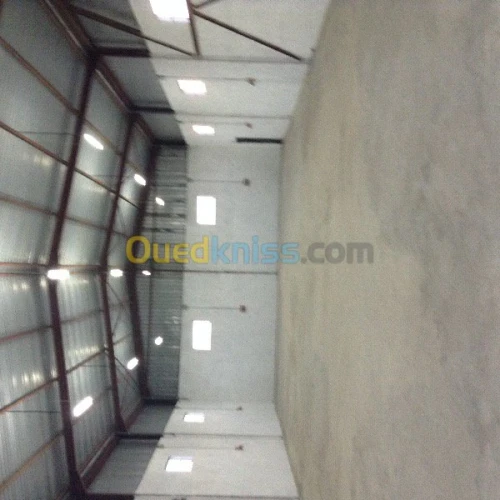 Location Hangar Alger Cheraga