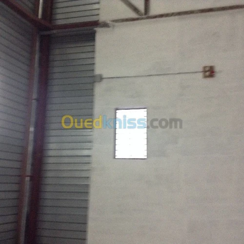 Location Hangar Alger Cheraga