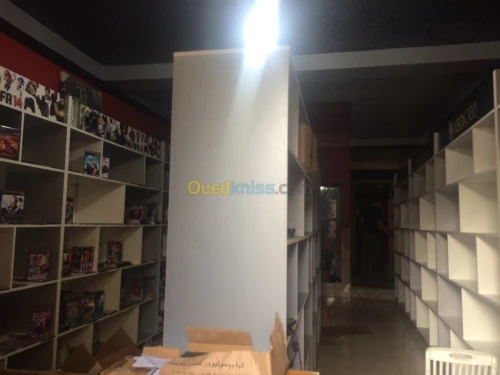 Éditeur de jeux vidéos 