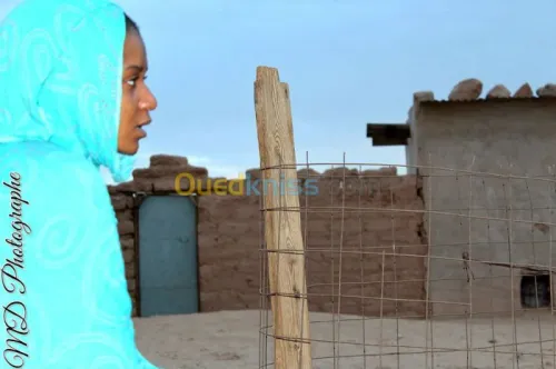 Photographe & Camera Man