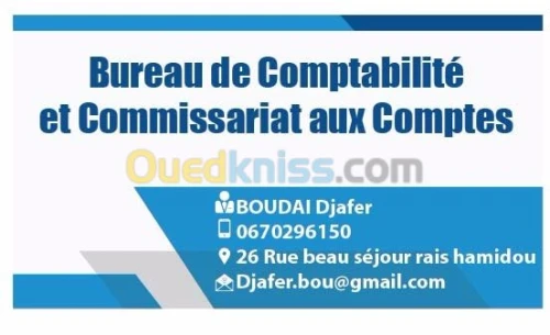 CAC, Audit et conseil, études techno-e
