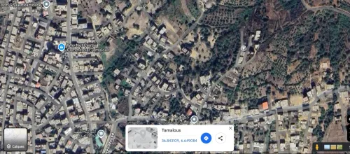 Vente Terrain Skikda Tamalous