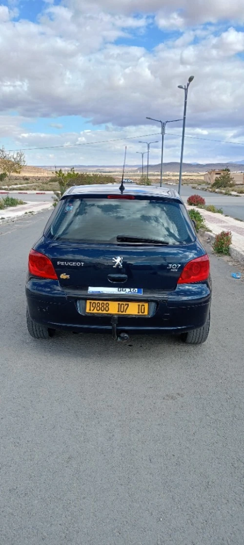 Peugeot 307 2007 Oxygo
