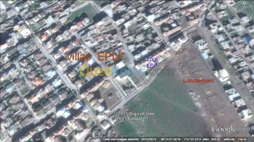 Vente Terrain Ain defla Ain defla
