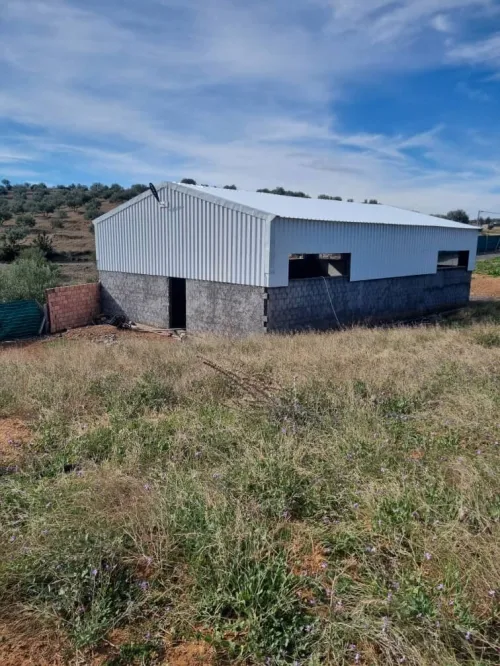 Vente Terrain Agricole Bouira Oued el berdi