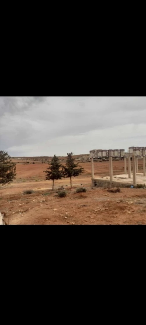 Vente Terrain Aïn Témouchent Ain el arbaa