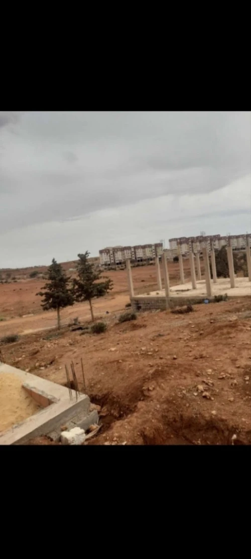 Vente Terrain Aïn Témouchent Ain el arbaa