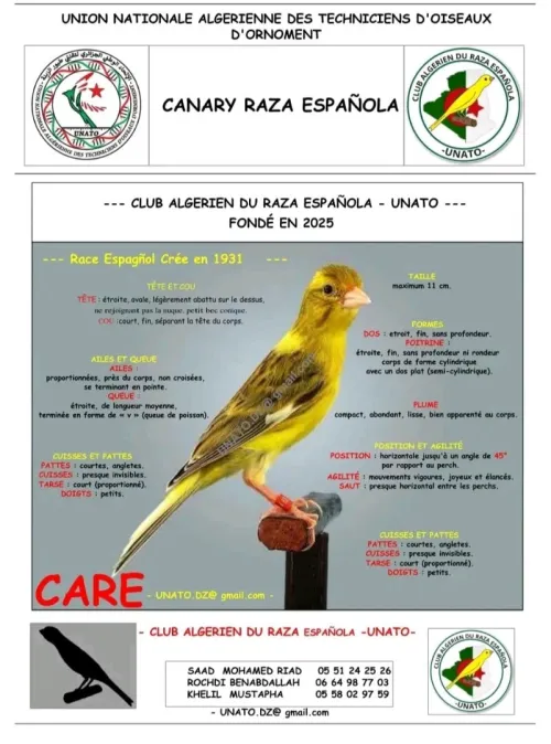 Raza espagnole