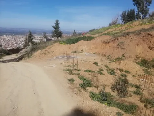 Vente Terrain Blida Blida