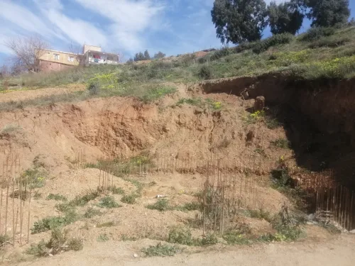 Vente Terrain Blida Blida