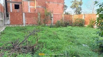 Vente Terrain Blida Blida