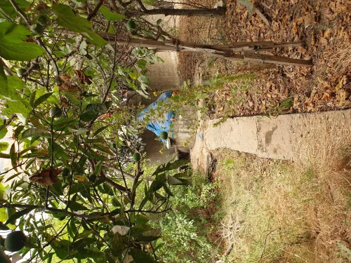Vente Terrain Boumerdès Boudouaou