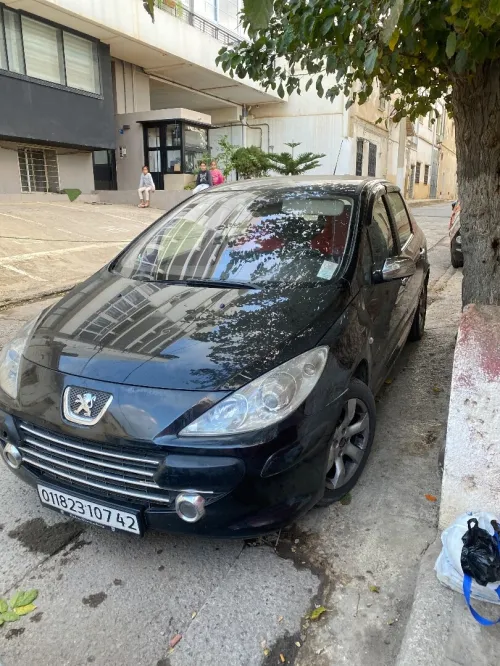 Peugeot 307 2007 Oxygo