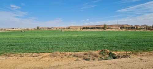 Location Terrain Agricole Laghouat Laghouat