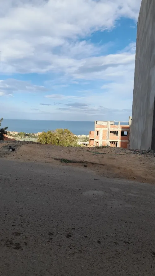 Vente Terrain Tipaza Bou ismail