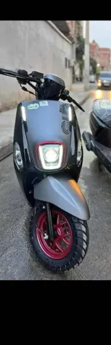 Vms Cuki 2025