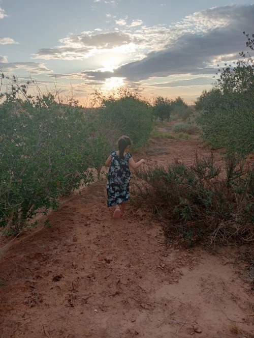 Vente Terrain Agricole Biskra Oumache