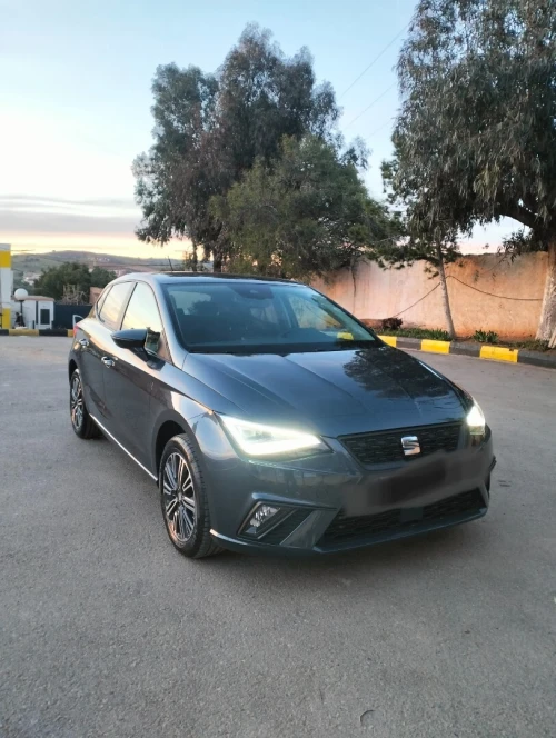 Seat Ibiza 2024 Style
