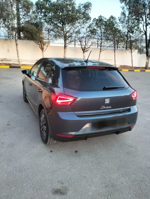 Seat Ibiza 2024 Style