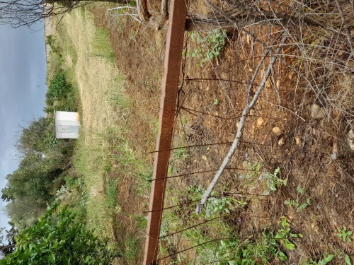 Location Terrain Agricole Alger Baba hassen