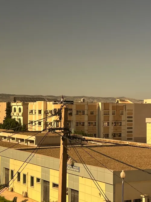 Location Immeuble Chlef Chlef