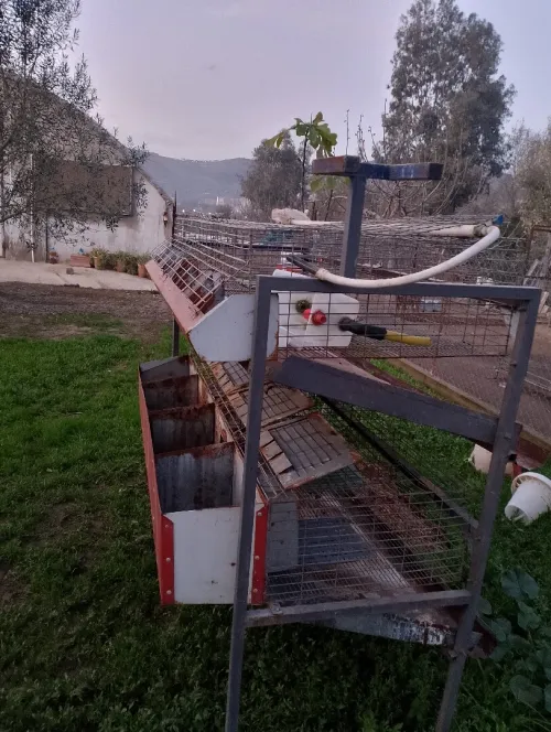 Cage pour lapin