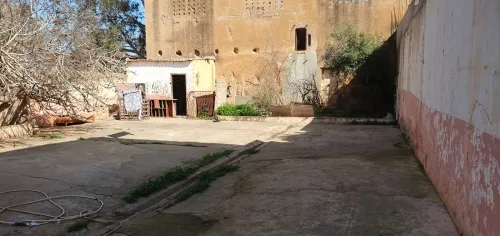 Vente Terrain Aïn Témouchent Hammam bouhadjar