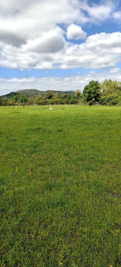 Vente Terrain Agricole Jijel El milia