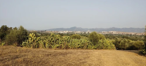 Vente Terrain Agricole Jijel Taher