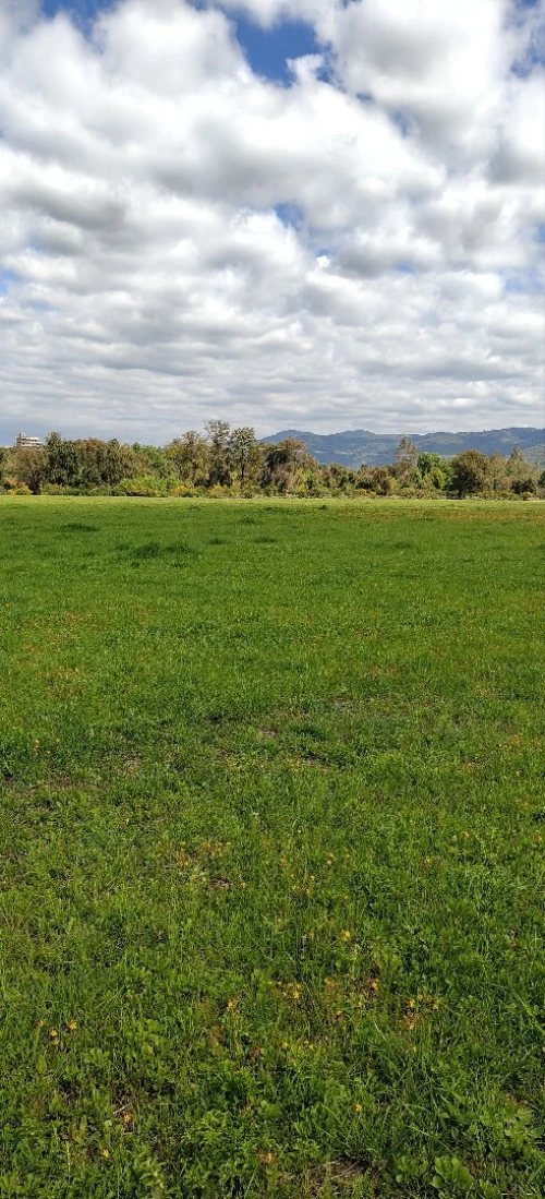 Vente Terrain Agricole Jijel El milia