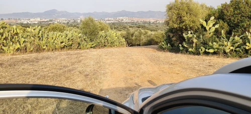 Vente Terrain Agricole Jijel Taher