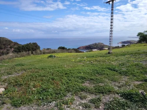 Vente Terrain Tipaza Gouraya