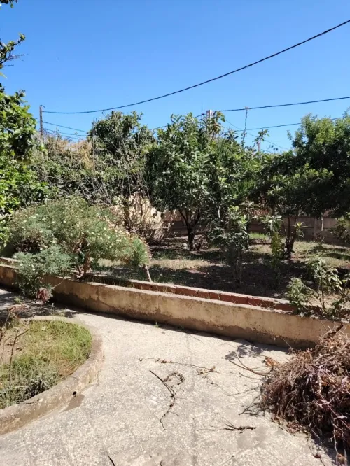 Vente Terrain Tipaza Cherchell