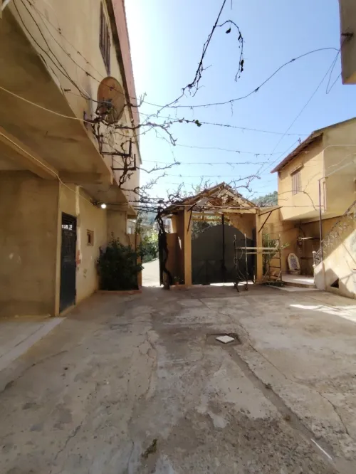 Vente Terrain Tipaza Larhat