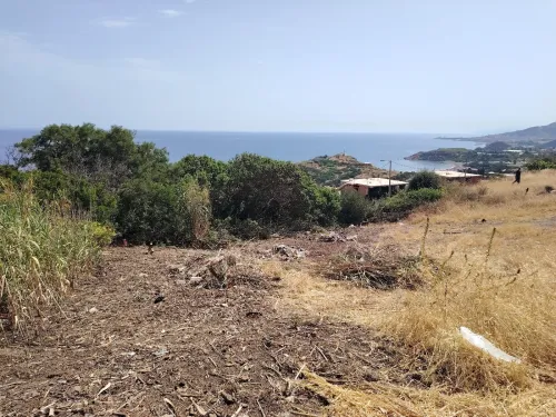 Vente Terrain Tipaza Larhat 3