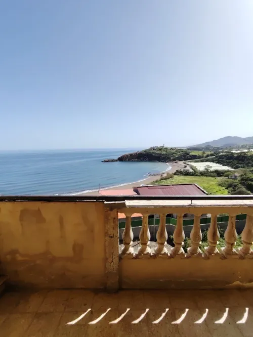 Vente Terrain Tipaza Larhat