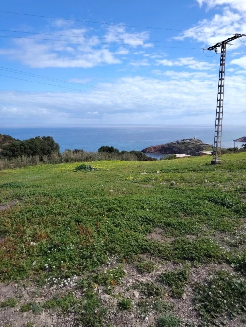 Vente Terrain Tipaza Gouraya