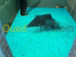 peinture epoxy 3d